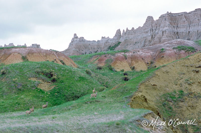 Badlands Stormscape