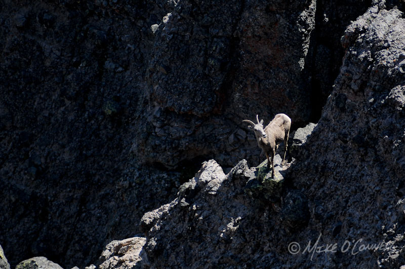 By Bighorn Peak